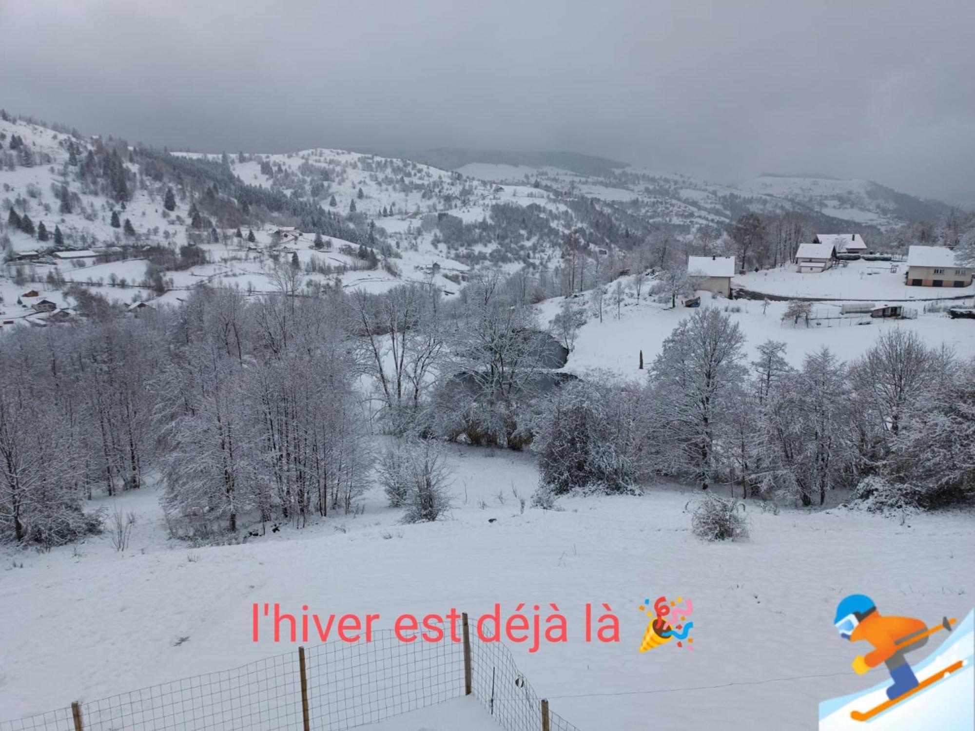 Les Chalets Bambi & Jacuzzi Privatif Ла-Бресс Номер фото
